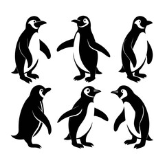 Naklejka premium Black white penguin poses walking standing flying animal wildlife