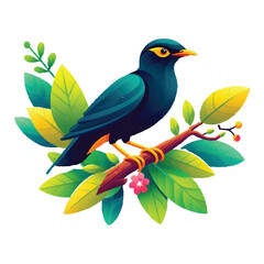 A beautiful Moyna bird on the branch of a tree