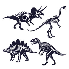 Dinosaur skeletons collection prehistoric ancient © Md Kazi Rahman