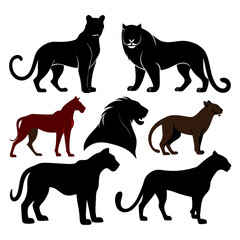Diverse wild cat silhouettes wild cats big cats