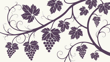Grapevine vector illustration with leaves and grapes for wine and vineyard themes design and decoration use