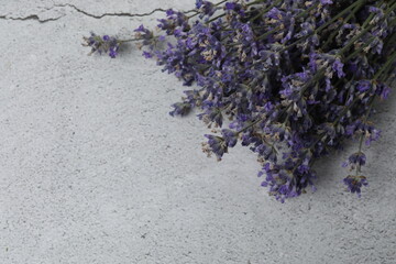 Bottles of lavender oil, lavender on marble background