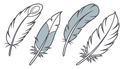 Feather illustration set vector graphic design elements for art projects and creative designs concepts vector
