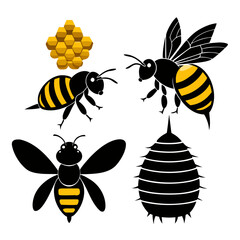 Honey bees and honeycomb insect nature