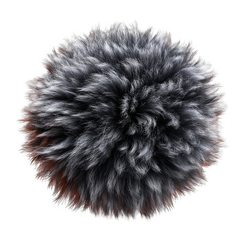 Fuzzy, circular, gray-silver fur ball