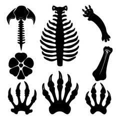 Prehistoric fossil bone shapes black silhouettes skeleton anatomy