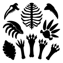 Prehistoric fossil bone shapes dinosaur skeleton © Md Kazi Rahman