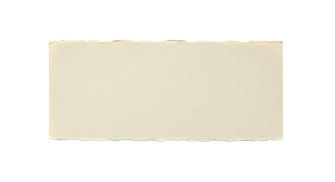 A single, horizontally oriented light beige paper with torn, ragged edges and subtle creases, natural texture, isolated on a pure transparent background with copy space, top-down view. Concept for