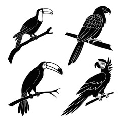 Toucans and Parrots Perched on Branches bird silhouette