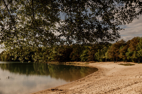 Lovely sandy lakeshore under soft golden sunlight