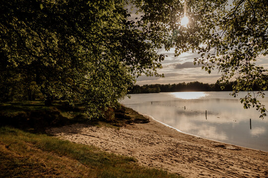 Lovely sandy lakeshore under soft golden sunlight