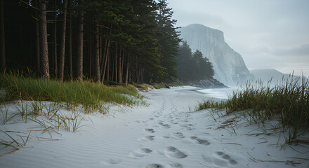 low angle view of footprints in white sand and grass terrain, pine forest lining the side, distant view of sparkling beach