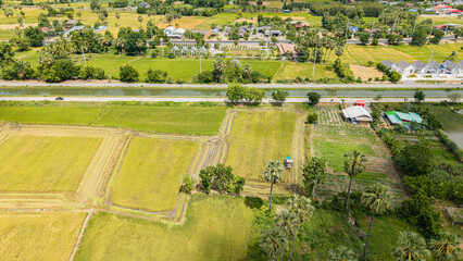 Rice harvester near road and irrigation canal