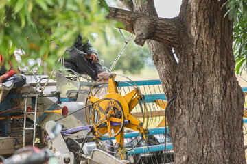 Resting while waiting for rice transfer truck