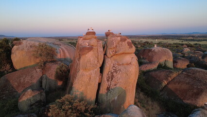 White storks nesting on granite boulders at sunset time.