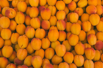 fresh apricots on a tray on a bazaar counter