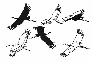 Dynamic silhouette of wild birds soaring in flight against a colorful sky