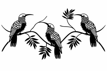 Detailed silhouette of tropical birds with intricate feather patterns