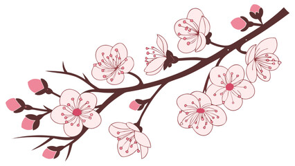 Cherry blossom branch vector illustration spring flower design floral art sakura bloom japanese tree drawing 100