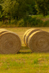 A large bunch of hay bales are resting in a wide, open field that is surrounded by green grass and...