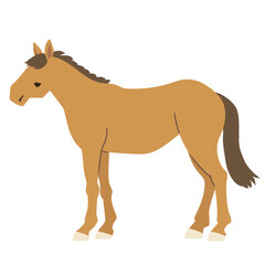 横から見た馬のイラスト_輪郭線無し