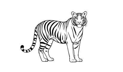 Black and White Line Art of a Standing Tiger in Side View