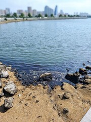 Environmental disaster .Oily surface of the sea