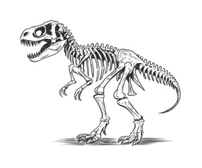 Vector line drawing of a T-Rex dinosaur skeleton.