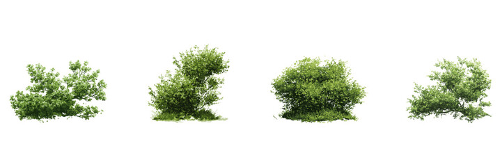 Green Bushes Watercolor Side View Illustration Set. Landscape Design And Garden Architecture Element Collection. Isolated Vector Illustration