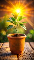 Photo of a young green plant thrives in a terracotta pot under the warm glow of a bright sunbeam