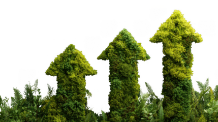 Three green arrows pointing upwards, made of plants, on a transparent background