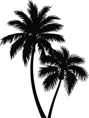 Tropical palm trees silhouette black white