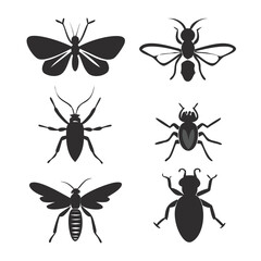 insect set vector 