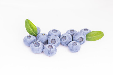 blueberries in the forest
