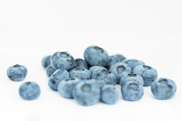 blueberries in the forest