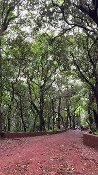 Beautiful landscape walking path with lush green trees at the forest of Matheran, Maharashtra, India. Monsoon season with rainy days. Travel concept.