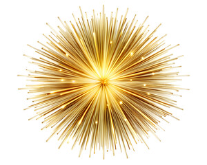 Naklejka premium Golden Burst of Light Rays on Transparent Background