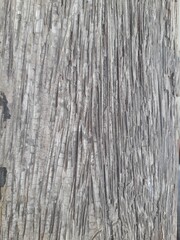 Close-up of rough, weathered tree bark with vertical grooves and a textured, aged surface in shades...