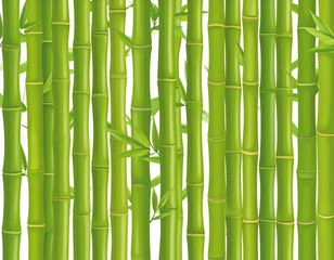 Fototapeta premium Lush Green Bamboo Forest.