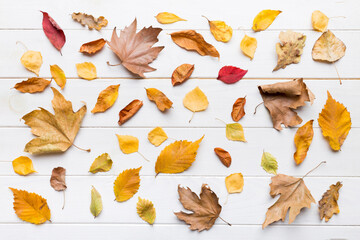 Autumn composition. Pattern made of dried leaves and other design accessories on table. Flat lay,...