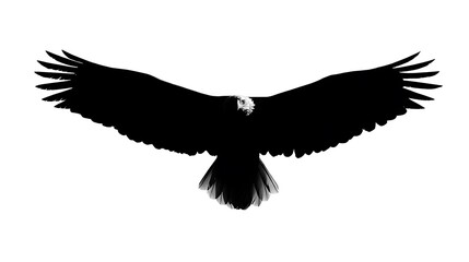 Obraz premium Majestic Eagle in Flight A Powerful Silhouette Illustration