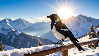 Magpie perched on snowy railing with sunlit mountains background, and winter beauty.