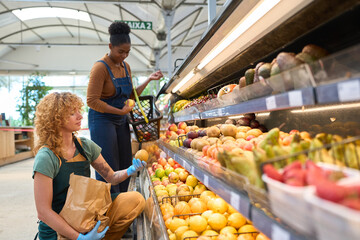 Supermarket employees arranging fresh fruits on display shelf