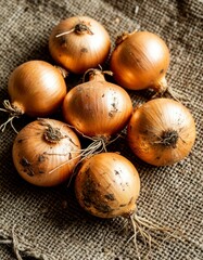 Organic Onion Bunch with Roots