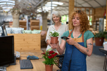Cashier scanning white flowers in pot at garden center checkout