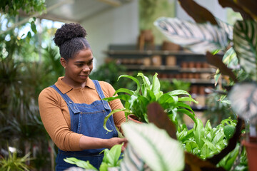 Gardener holding potted plant in greenhouse smiling at work