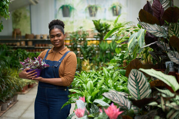 Gardener holding plant pot smiling in plant shop