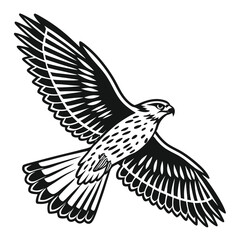 Obraz premium Black and White Hawk Illustration in Flight bird animal