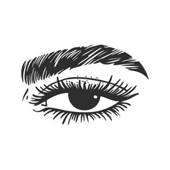 Obraz premium Eye With Eyebrow Silhouette Illustration. Beauty And Expression Concept Isolated Vector Illustration