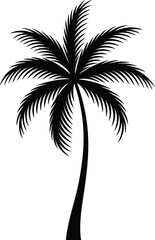 Obraz premium Black silhouette of a palm tree tropical black and white